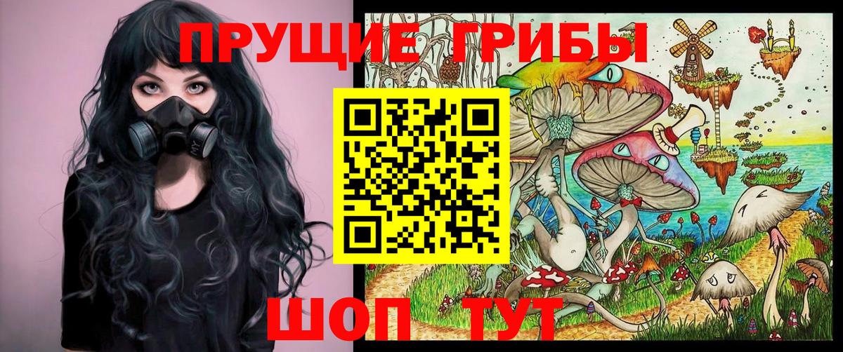 Камень-на-Оби  Галлюциногенные грибы Cubensis  Псилоцибиновые грибы Psilocybine cubensis  Вход с VPN 