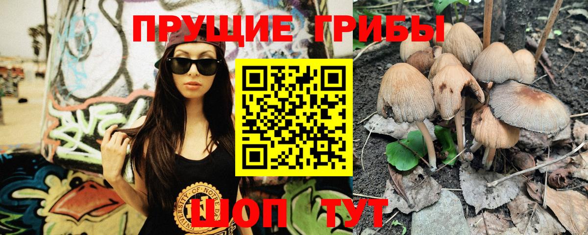 Псилоцибиновые грибы MAGIC MUSHROOMS Камень-на-Оби